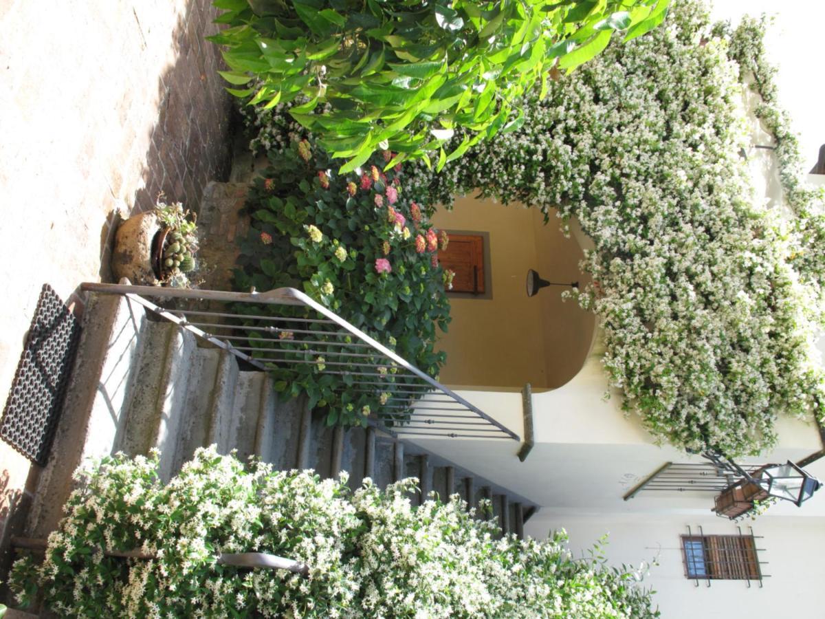 Borgo Dei Cadolingi Apartment กัมบาสซี แตร์เม ภายนอก รูปภาพ