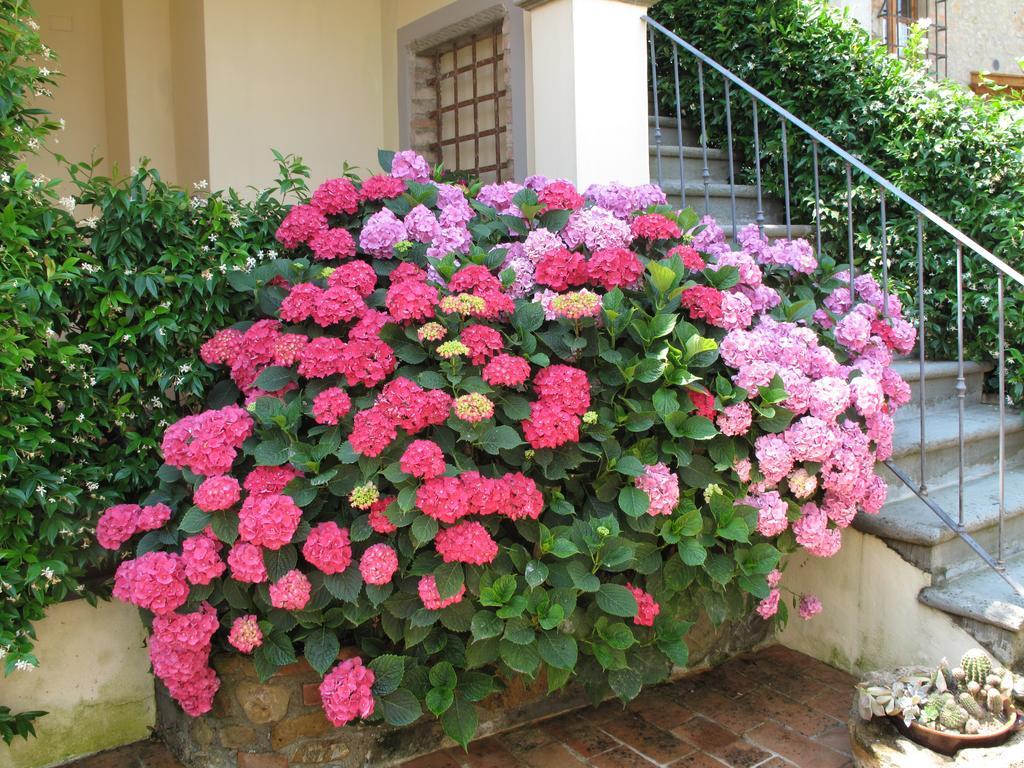 Borgo Dei Cadolingi Apartment กัมบาสซี แตร์เม ภายนอก รูปภาพ